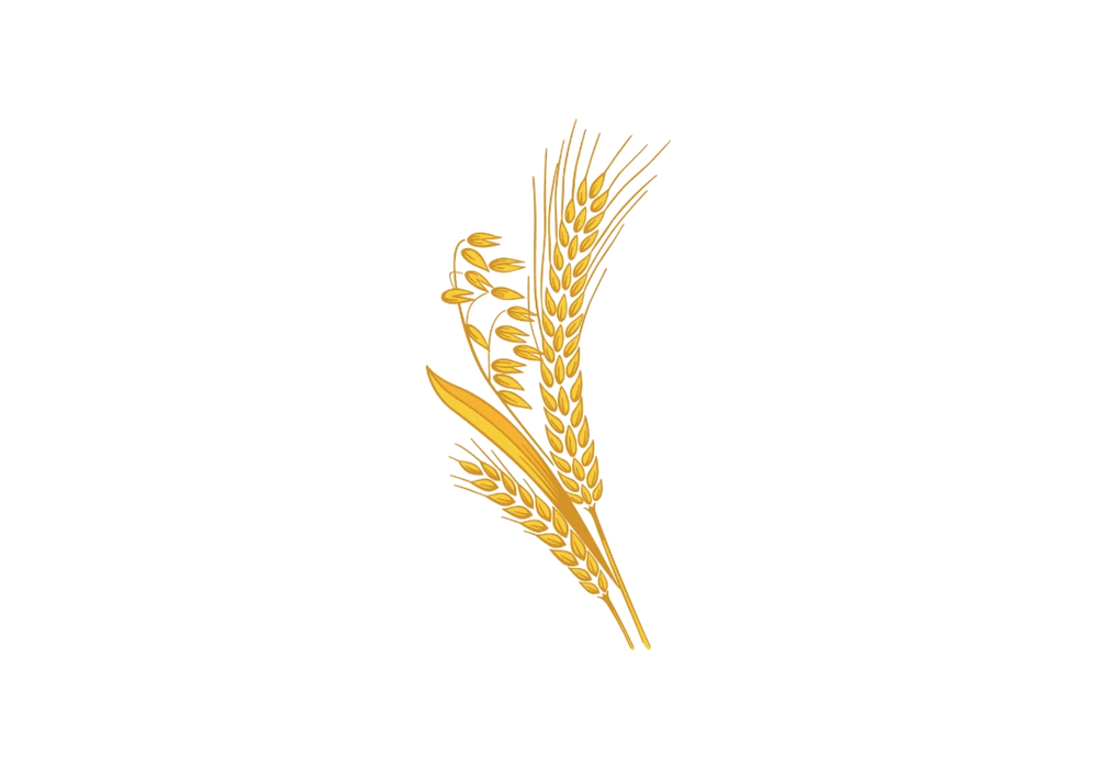 Gabona alapú termék