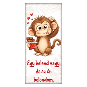 Chocolips 90G Egy bolond vagy, de az én bolondom.