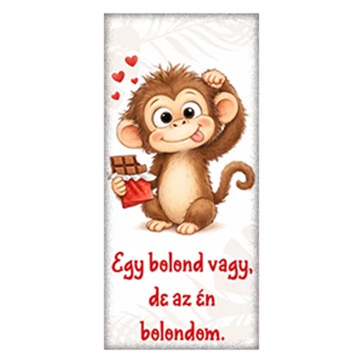 Chocolips 90G Egy bolond vagy, de az én bolondom.