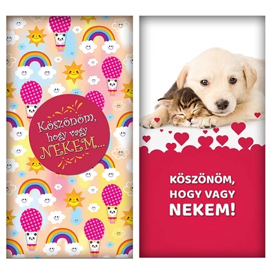 Chocolips 90G Köszönöm Hogy Vagy Nekem (Pandás,Kutya)